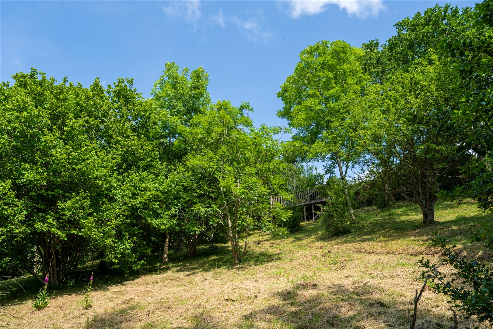 10 Perkins Beach Dingle, Shrewsbury, SY5 0PE For Sale 10 Perkins Beach Dingle, Shrewsbury, SY5 0PE For Sale